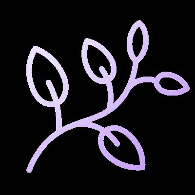 Amberbloom Flare Care