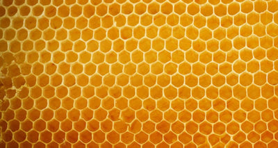 Amberbloom Flare Care